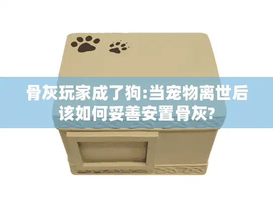骨灰玩家成了狗:当宠物离世后该如何妥善安置骨灰?