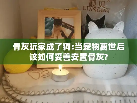骨灰玩家成了狗:当宠物离世后该如何妥善安置骨灰?