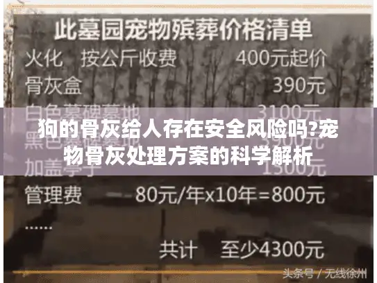 狗的骨灰给人存在安全风险吗?宠物骨灰处理方案的科学解析 狗的骨灰给人存在安全风险吗?宠物骨灰处理方案的科学解析