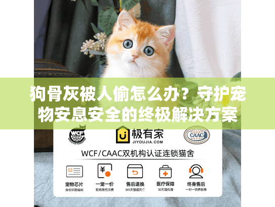 狗骨灰被人偷怎么办?守护宠物安息安全的终极解决方案 狗骨灰被人偷怎么办?守护宠物安息安全的终极解决方案