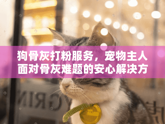 狗骨灰打粉服务，宠物主人面对骨灰难题的安心解决方案