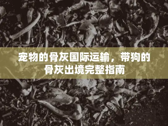 宠物的骨灰国际运输，带狗的骨灰出境完整指南