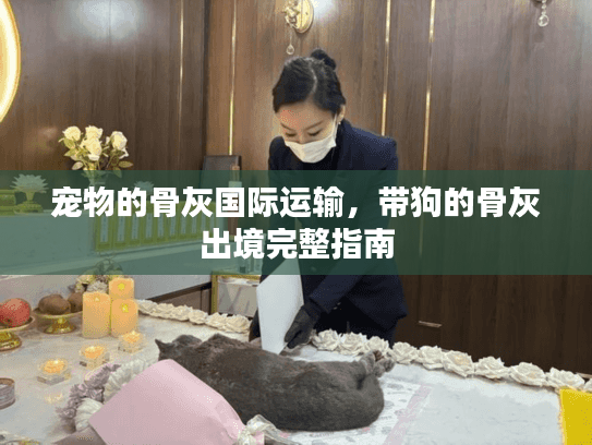 宠物的骨灰国际运输，带狗的骨灰出境完整指南