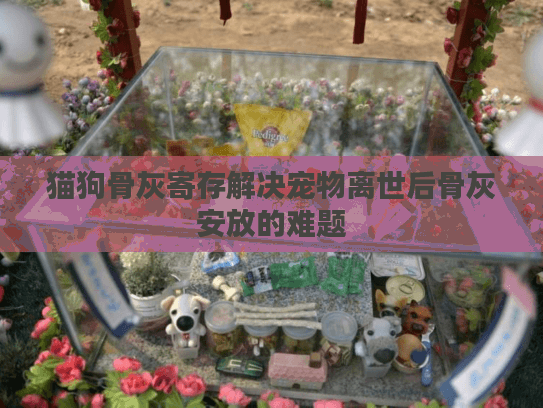 猫狗骨灰寄存解决宠物离世后骨灰安放的难题