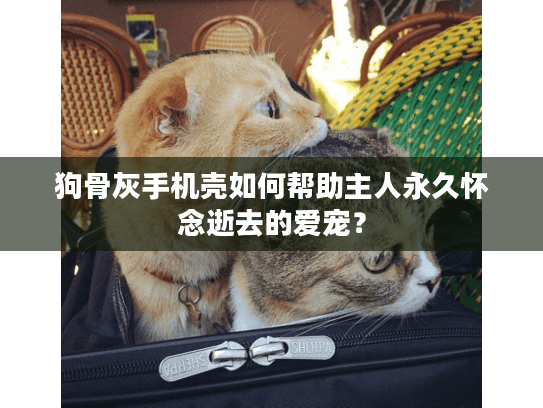 狗骨灰手机壳如何帮助主人永久怀念逝去的爱宠？