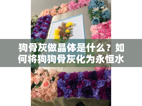 狗骨灰做晶体是什么?如何将狗狗骨灰化为永恒水晶纪念品 狗骨灰做晶体是什么?如何将狗狗骨灰化为永恒水晶纪念品