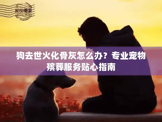 狗去世火化骨灰怎么办？专业宠物殡葬服务贴心指南