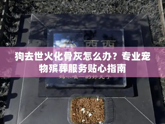 狗去世火化骨灰怎么办？专业宠物殡葬服务贴心指南