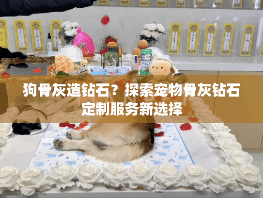 狗骨灰造钻石？探索宠物骨灰钻石定制服务新选择