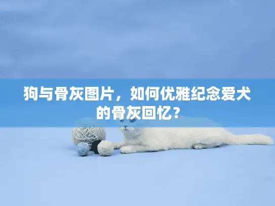 狗与骨灰图片，如何优雅纪念爱犬的骨灰回忆？
