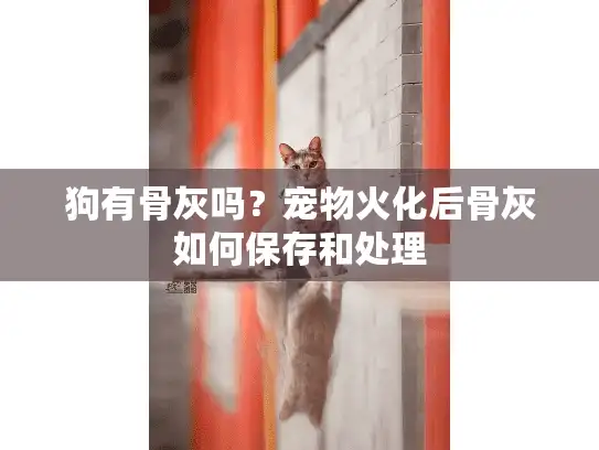 狗有骨灰吗?宠物火化后骨灰如何保存和处理 狗有骨灰吗?宠物火化后骨灰如何保存和处理