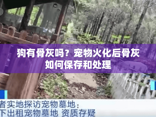 狗有骨灰吗?宠物火化后骨灰如何保存和处理 狗有骨灰吗?宠物火化后骨灰如何保存和处理