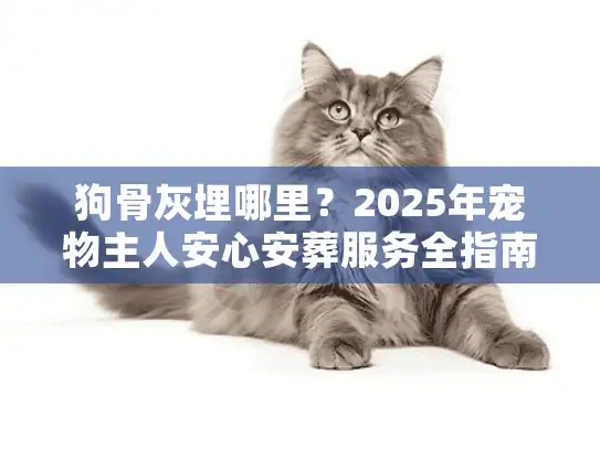狗骨灰埋哪里？2025年宠物主人安心安葬服务全指南