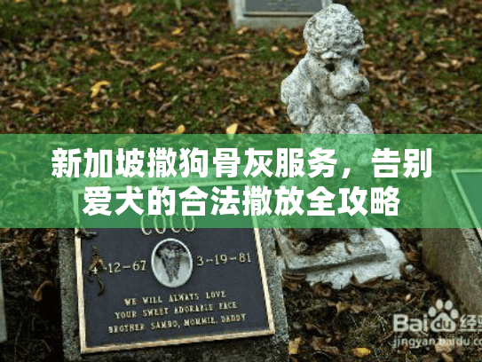 新加坡撒狗骨灰服务，告别爱犬的合法撒放全攻略