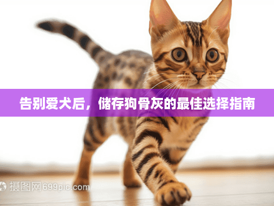 告别爱犬后，储存狗骨灰的最佳选择指南