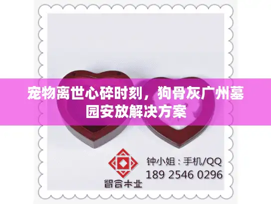 宠物离世心碎时刻，狗骨灰广州墓园安放解决方案