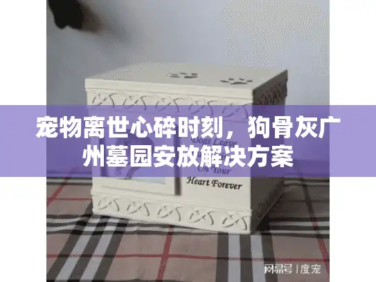 宠物离世心碎时刻，狗骨灰广州墓园安放解决方案