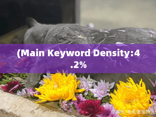 (Main Keyword Density:4.2%