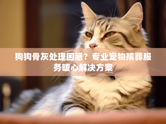 狗狗骨灰处理困惑？专业宠物殡葬服务暖心解决方案