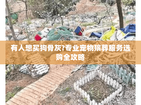 有人想买狗骨灰?专业宠物殡葬服务选购全攻略