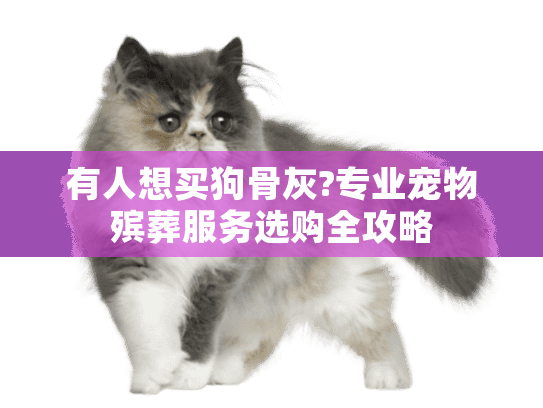 有人想买狗骨灰?专业宠物殡葬服务选购全攻略