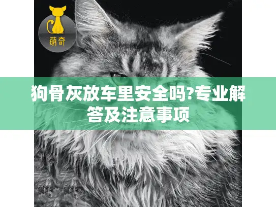 狗骨灰放车里安全吗?专业解答及注意事项
