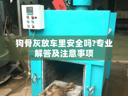 狗骨灰放车里安全吗?专业解答及注意事项