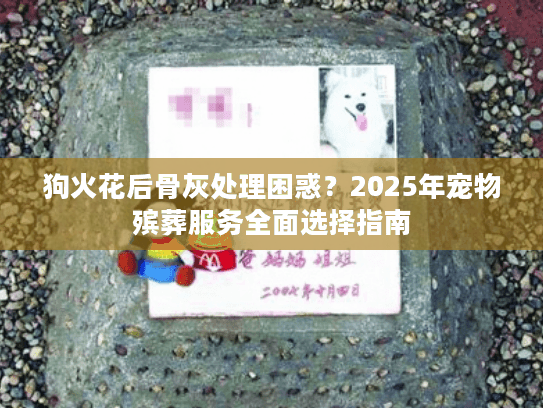 狗火花后骨灰处理困惑?2025年宠物殡葬服务全面选择指南 狗火花后骨灰处理困惑?2025年宠物殡葬服务全面选择指南