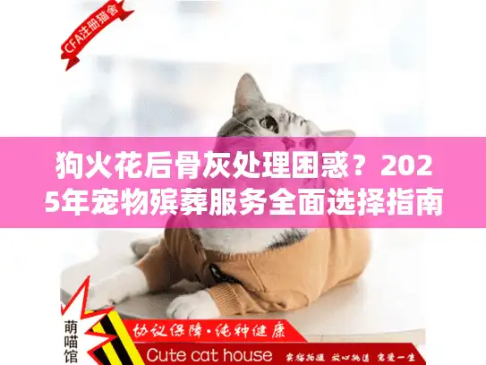 狗火花后骨灰处理困惑?2025年宠物殡葬服务全面选择指南 狗火花后骨灰处理困惑?2025年宠物殡葬服务全面选择指南