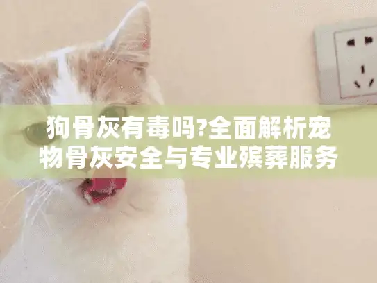 狗骨灰有毒吗?全面解析宠物骨灰安全与专业殡葬服务 狗骨灰有毒吗?全面解析宠物骨灰安全与专业殡葬服务