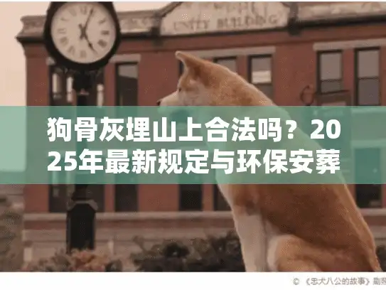 狗骨灰埋山上合法吗？2025年最新规定与环保安葬指南