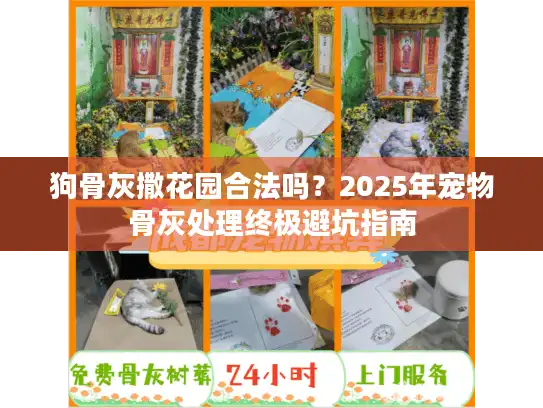 狗骨灰撒花园合法吗？2025年宠物骨灰处理终极避坑指南