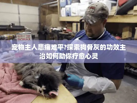 宠物主人悲痛难平?探索狗骨灰的功效主治如何助你疗愈心灵