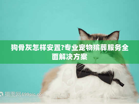 狗骨灰怎样安置?专业宠物殡葬服务全面解决方案 狗骨灰怎样安置?专业宠物殡葬服务全面解决方案