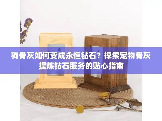 狗骨灰如何变成永恒钻石？探索宠物骨灰提炼钻石服务的贴心指南