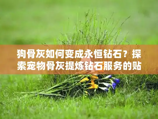 狗骨灰如何变成永恒钻石？探索宠物骨灰提炼钻石服务的贴心指南