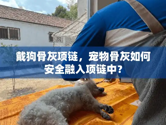 戴狗骨灰项链,宠物骨灰如何安全融入项链中? 戴狗骨灰项链,宠物骨灰如何安全融入项链中?