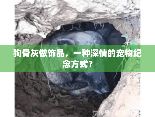 狗骨灰做饰品,一种深情的宠物纪念方式? 狗骨灰做饰品,一种深情的宠物纪念方式?