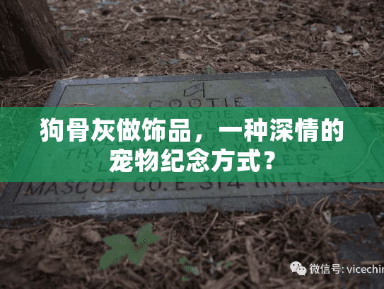 狗骨灰做饰品,一种深情的宠物纪念方式? 狗骨灰做饰品,一种深情的宠物纪念方式?