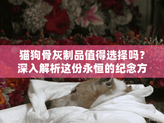 猫狗骨灰制品值得选择吗？深入解析这份永恒的纪念方式