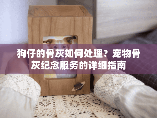 狗仔的骨灰如何处理?宠物骨灰纪念服务的详细指南 狗仔的骨灰如何处理?宠物骨灰纪念服务的详细指南