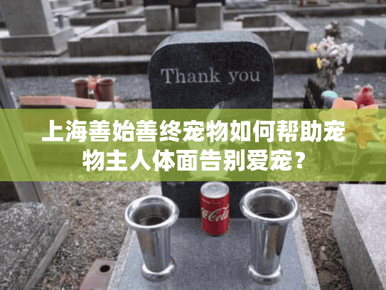 上海善始善终宠物如何帮助宠物主人体面告别爱宠？