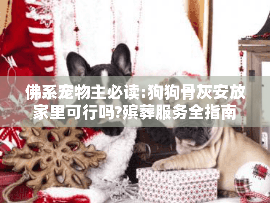 佛系宠物主必读:狗狗骨灰安放家里可行吗?殡葬服务全指南