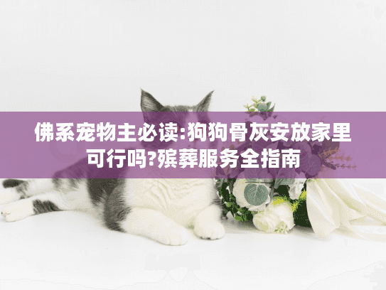 佛系宠物主必读:狗狗骨灰安放家里可行吗?殡葬服务全指南