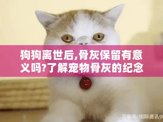 狗狗离世后,骨灰保留有意义吗?了解宠物骨灰的纪念选择 狗狗离世后,骨灰保留有意义吗?了解宠物骨灰的纪念选择