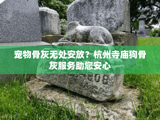 宠物骨灰无处安放？杭州寺庙狗骨灰服务助您安心