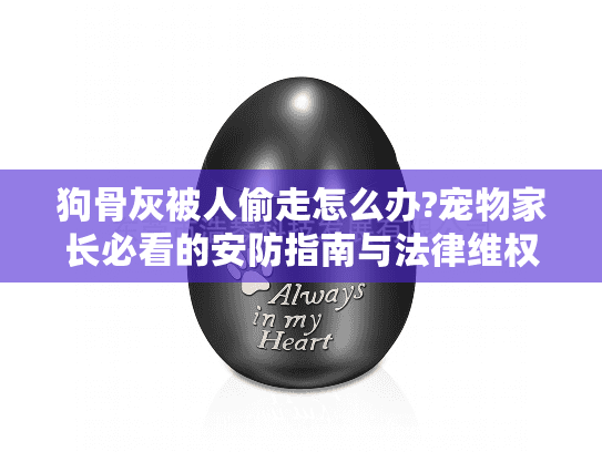 狗骨灰被人偷走怎么办?宠物家长必看的安防指南与法律维权途径