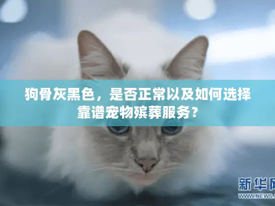 狗骨灰黑色,是否正常以及如何选择靠谱宠物殡葬服务? 狗骨灰黑色,是否正常以及如何选择靠谱宠物殡葬服务?