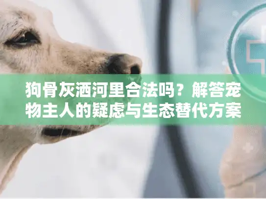 狗骨灰洒河里合法吗？解答宠物主人的疑虑与生态替代方案