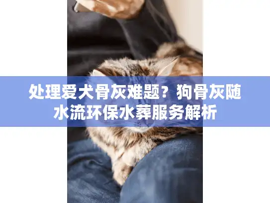 处理爱犬骨灰难题？狗骨灰随水流环保水葬服务解析